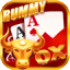 yoyo game rummy